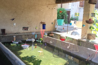 P&eacute;p&egrave;te Lumi&egrave;re 2019